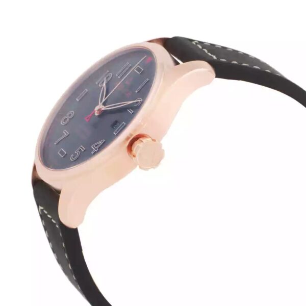 Alpina Startimer Men's Automatic Watch AL-525GG4S24-SR