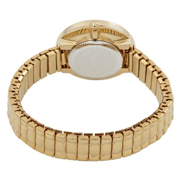 Akribos Xxiv Impeccable Women’s Watch AK765YG