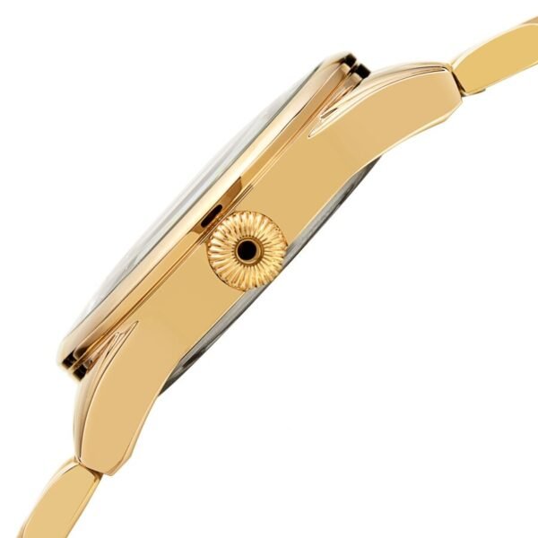 Akribos Xxiv Men’s Watch AK1056YGN